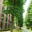 大学